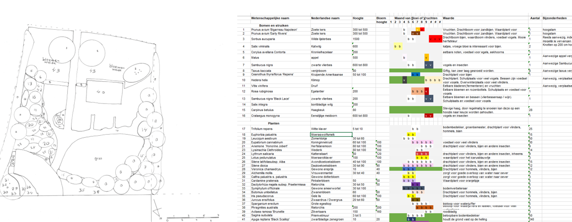 Beplantingsplan met plantenlijst