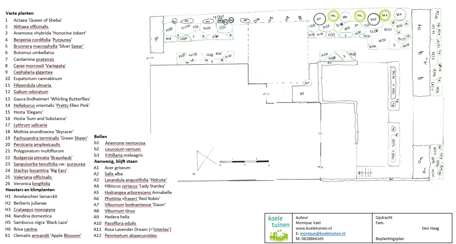 Beplantingsplan met plantenlijst