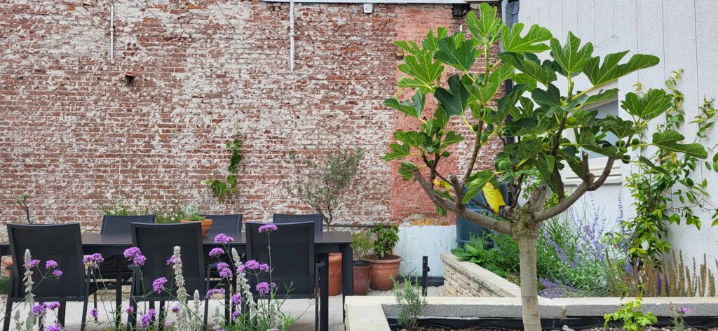 Daktuin met mediterrane sfeer
