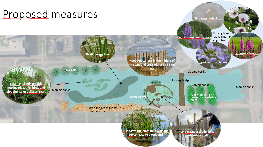 Urban Ecology Design