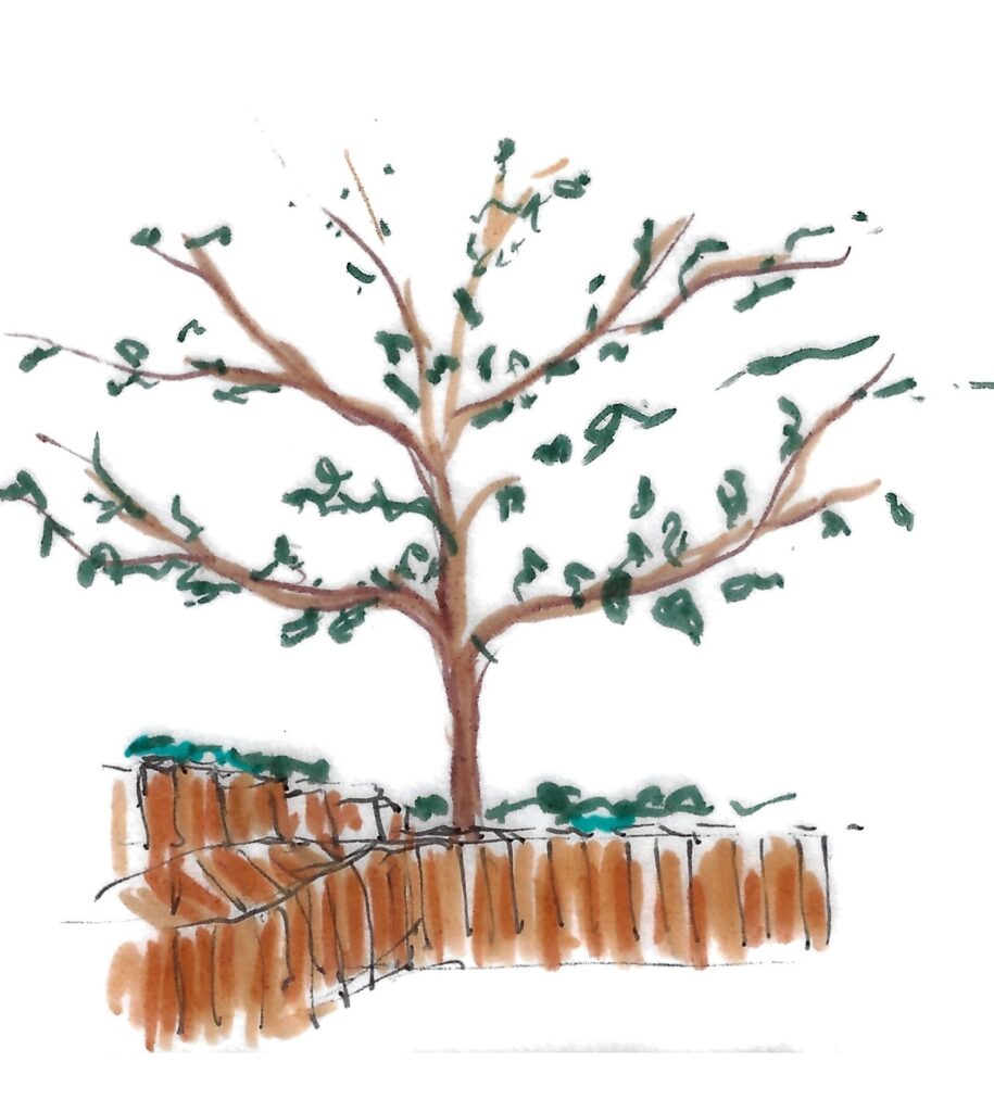 De rode platen worden gemaskeerd met groenblijvende lei- en klimplanten